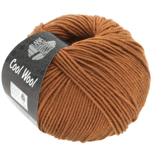 Cool Wool | karamel fv. 2054