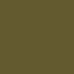 PE-516-Garden-Fern_500px