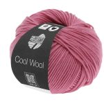 Cool Wool | Erika fv. 2011