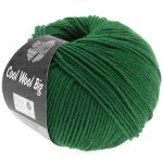 Cool Wool Big | flaskegrøn fv. 949