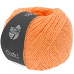 Dodici | orange fv. 04