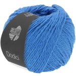 Dodici | blå fv. 12
