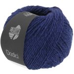 Dodici | marine fv. 13
