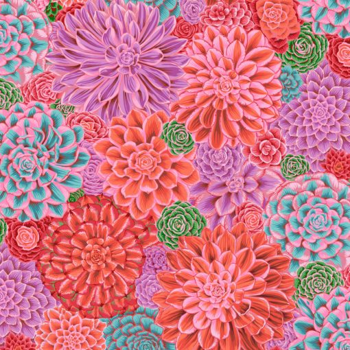 Kaffe Fassett Collective | House Leeks