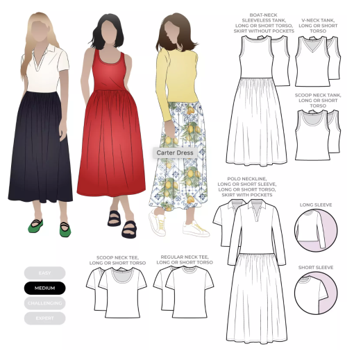 Style Arc | Carter dress