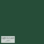 Light & Lush | Viskose Solid fv. bottle mondo