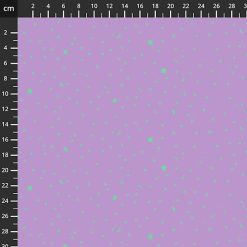 Tula Pink | True Colors - FrozenBerry