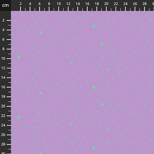 Tula Pink | True Colors - FrozenBerry