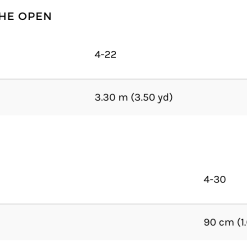 Style Arc | Belle Woven Dress