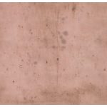 Tim Holtz | Provisions fv. Rose