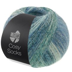 Cosy Socks Dream | Fv. 254