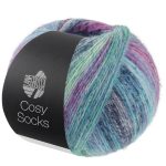 Cosy Socks Dream | Fv. 255
